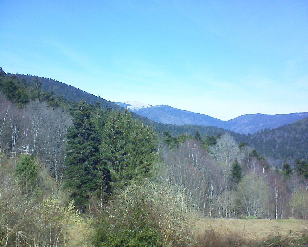 Le petit ballon vu depuis le Domaine Langmatt à Murbach le 20.03.2019 à 12:45 Le petit ballon (Alsace, Vosges) le 20.03.2019 à 12:45