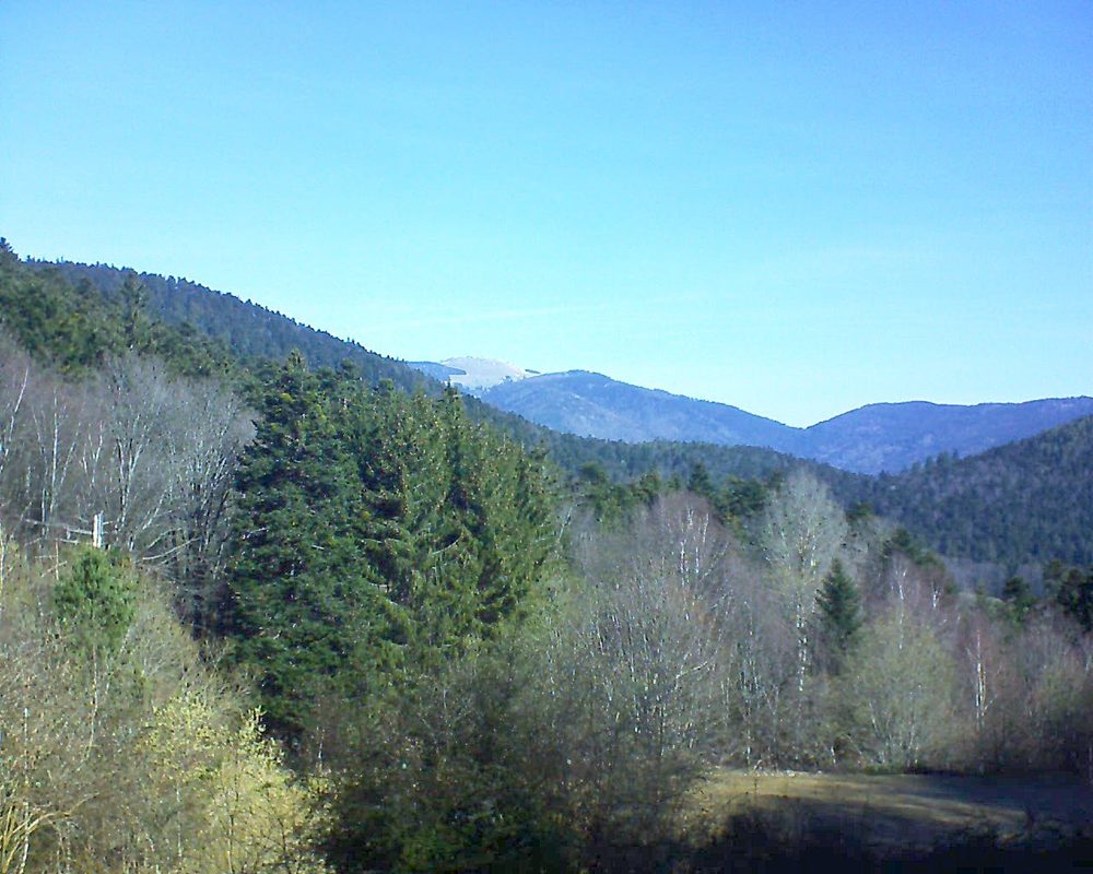 Le petit ballon vu depuis le Domaine Langmatt à Murbach le 21.03.2019 à 10:00 Le petit ballon (Alsace, Vosges) le 21.03.2019 à 10:00