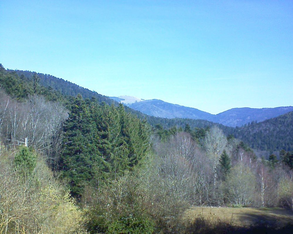 Le petit ballon vu depuis le Domaine Langmatt à Murbach le 21.03.2019 à 10:15 Le petit ballon (Alsace, Vosges) le 21.03.2019 à 10:15