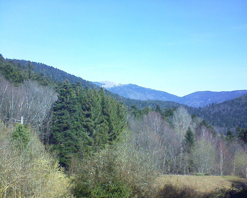 Le petit ballon vu depuis le Domaine Langmatt à Murbach le 21.03.2019 à 10:30 Le petit ballon (Alsace, Vosges) le 21.03.2019 à 10:30