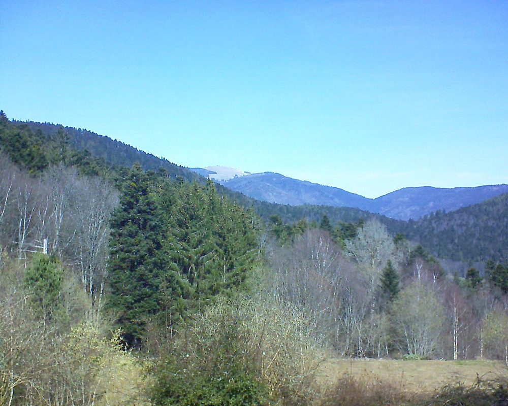 Le petit ballon vu depuis le Domaine Langmatt à Murbach le 21.03.2019 à 12:00 Le petit ballon (Alsace, Vosges) le 21.03.2019 à 12:00