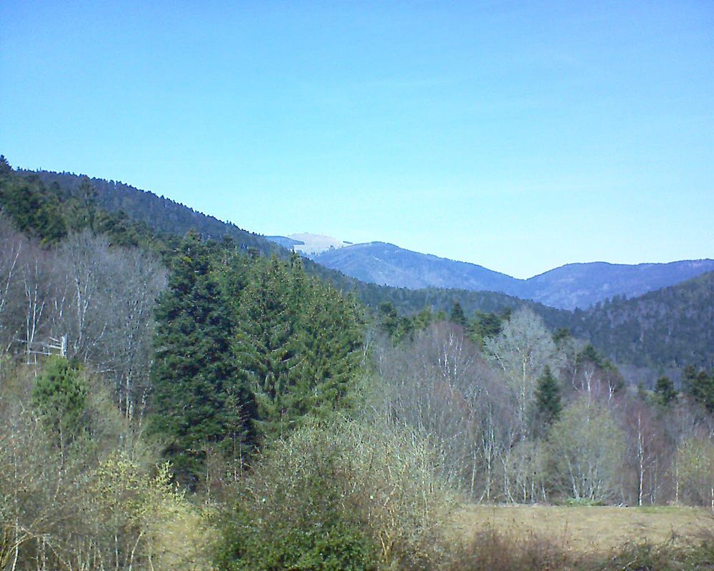 Le petit ballon vu depuis le Domaine Langmatt à Murbach le 21.03.2019 à 12:45 Le petit ballon (Alsace, Vosges) le 21.03.2019 à 12:45