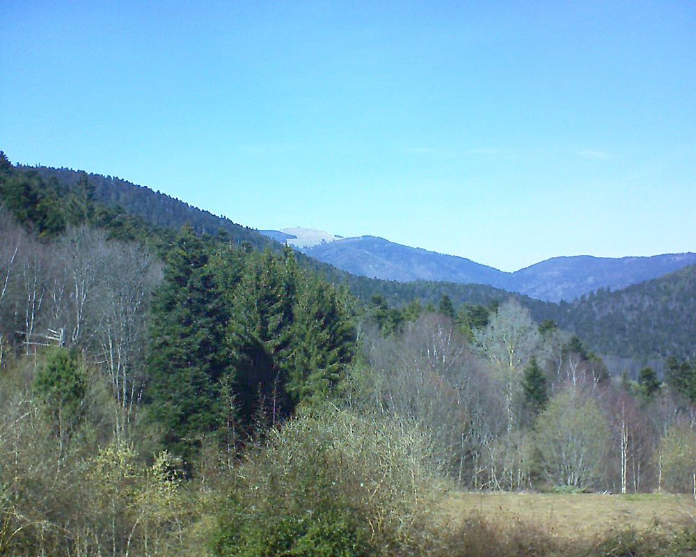 Le petit ballon vu depuis le Domaine Langmatt à Murbach le 21.03.2019 à 13:45 Le petit ballon (Alsace, Vosges) le 21.03.2019 à 13:45