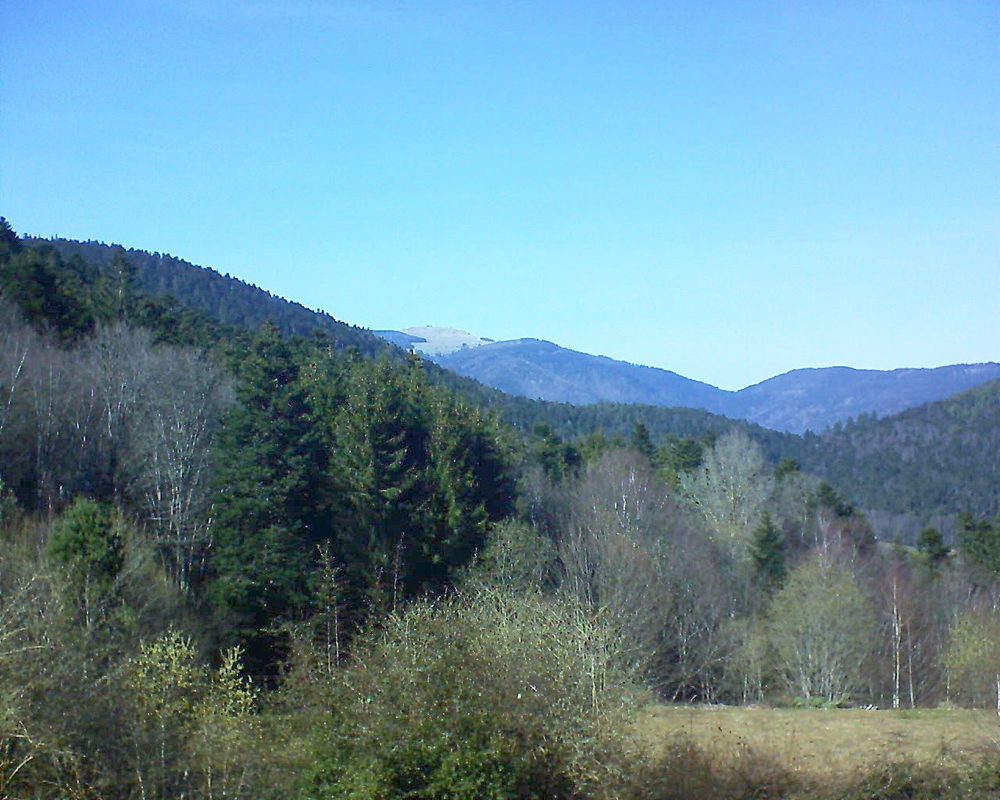 Le petit ballon vu depuis le Domaine Langmatt à Murbach le 21.03.2019 à 15:00 Le petit ballon (Alsace, Vosges) le 21.03.2019 à 15:00