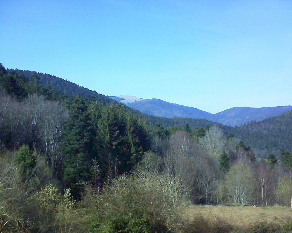 Le petit ballon vu depuis le Domaine Langmatt à Murbach le 21.03.2019 à 15:15 Le petit ballon (Alsace, Vosges) le 21.03.2019 à 15:15