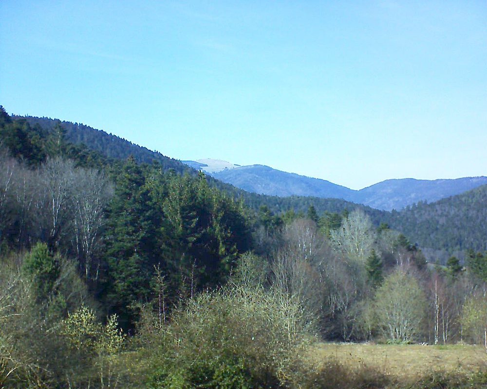 Le petit ballon vu depuis le Domaine Langmatt à Murbach le 21.03.2019 à 15:30 Le petit ballon (Alsace, Vosges) le 21.03.2019 à 15:30