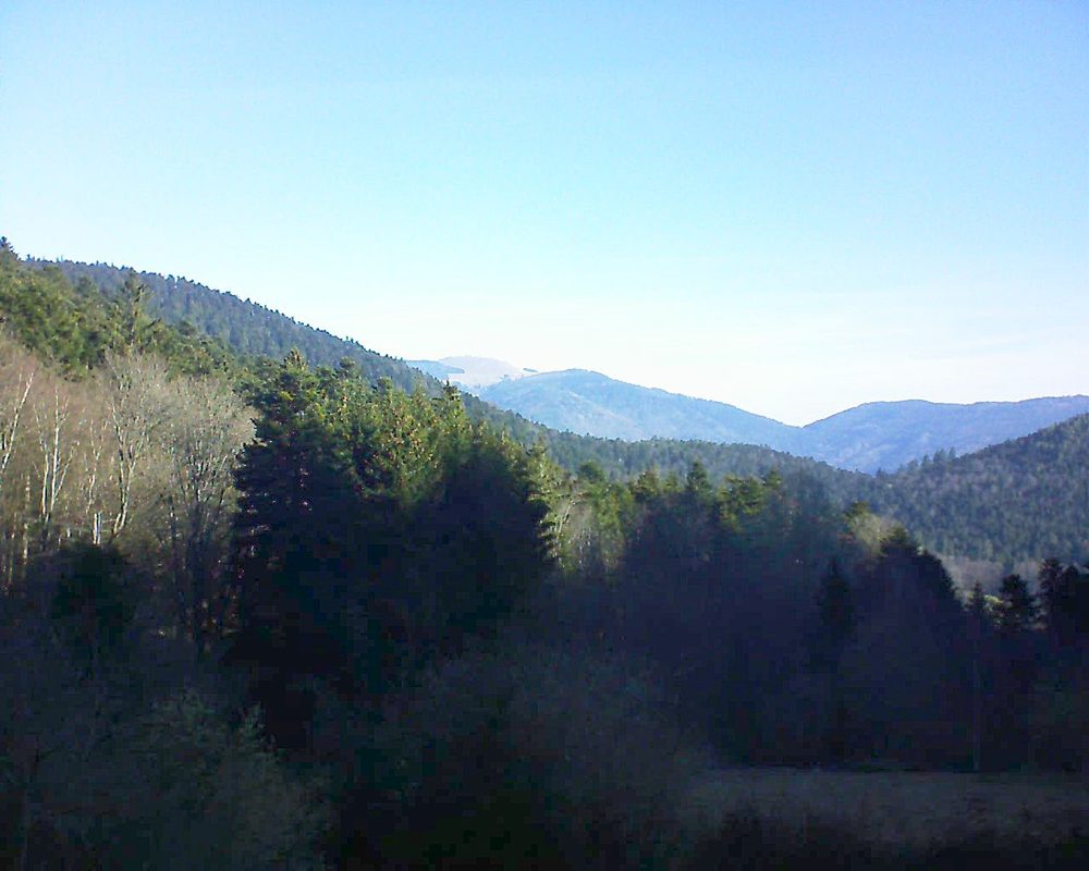 Le petit ballon vu depuis le Domaine Langmatt à Murbach le 22.03.2019 à 09:00 Le petit ballon (Alsace, Vosges) le 22.03.2019 à 09:00