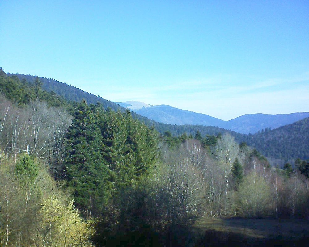 Le petit ballon vu depuis le Domaine Langmatt à Murbach le 22.03.2019 à 09:45 Le petit ballon (Alsace, Vosges) le 22.03.2019 à 09:45