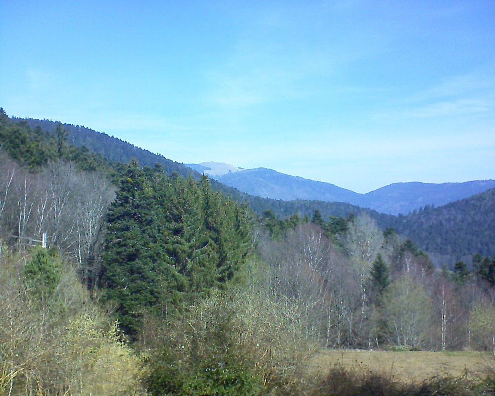 Le petit ballon vu depuis le Domaine Langmatt à Murbach le 22.03.2019 à 10:45 Le petit ballon (Alsace, Vosges) le 22.03.2019 à 10:45