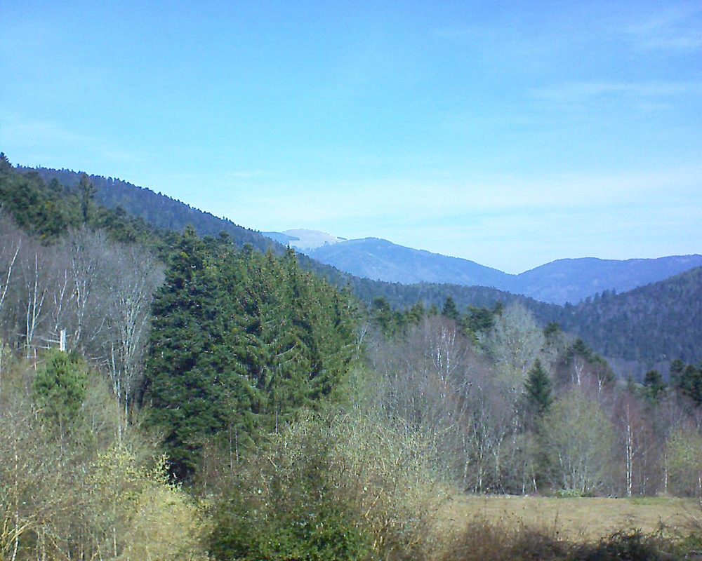 Le petit ballon vu depuis le Domaine Langmatt à Murbach le 22.03.2019 à 11:15 Le petit ballon (Alsace, Vosges) le 22.03.2019 à 11:15