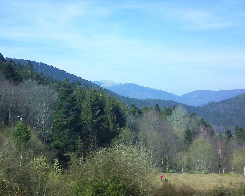 Le petit ballon vu depuis le Domaine Langmatt à Murbach le 22.03.2019 à 14:45 Le petit ballon (Alsace, Vosges) le 22.03.2019 à 14:45