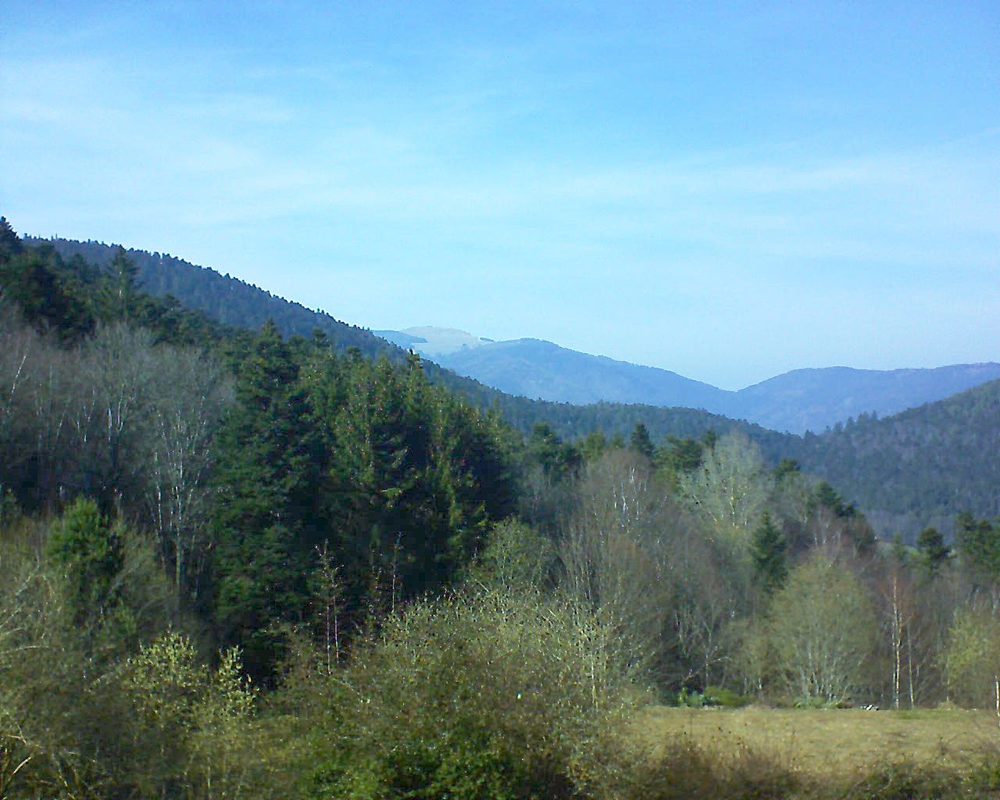 Le petit ballon vu depuis le Domaine Langmatt à Murbach le 22.03.2019 à 15:15 Le petit ballon (Alsace, Vosges) le 22.03.2019 à 15:15