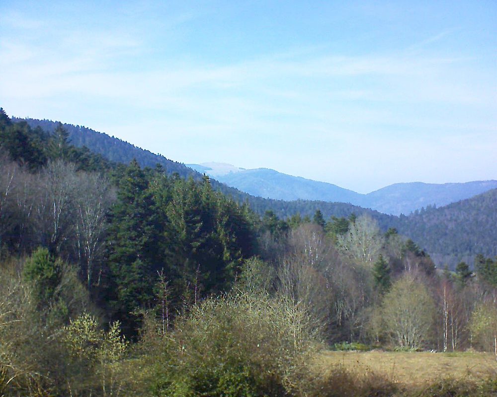 Le petit ballon vu depuis le Domaine Langmatt à Murbach le 22.03.2019 à 15:30 Le petit ballon (Alsace, Vosges) le 22.03.2019 à 15:30