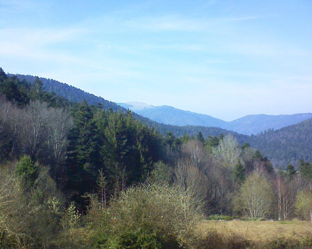 Le petit ballon vu depuis le Domaine Langmatt à Murbach le 22.03.2019 à 15:45 Le petit ballon (Alsace, Vosges) le 22.03.2019 à 15:45