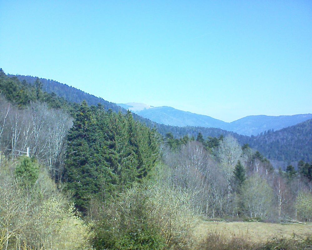 Le petit ballon vu depuis le Domaine Langmatt à Murbach le 23.03.2019 à 10:45 Le petit ballon (Alsace, Vosges) le 23.03.2019 à 10:45