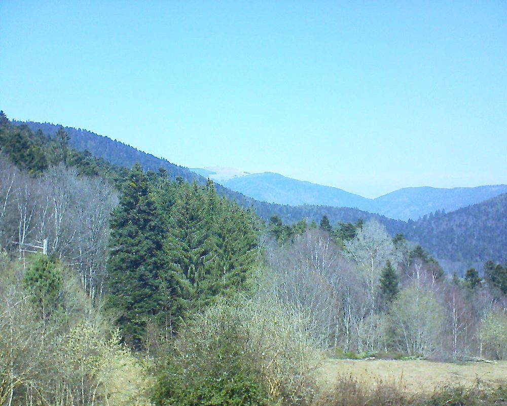 Le petit ballon vu depuis le Domaine Langmatt à Murbach le 23.03.2019 à 12:30 Le petit ballon (Alsace, Vosges) le 23.03.2019 à 12:30