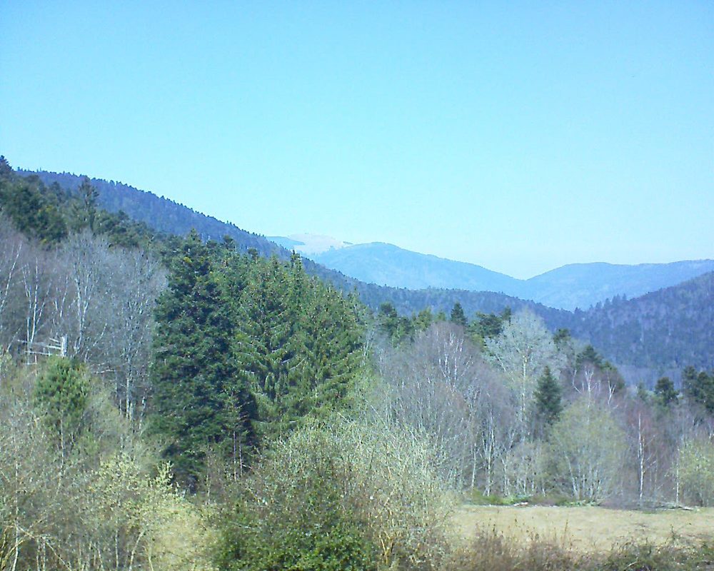 Le petit ballon vu depuis le Domaine Langmatt à Murbach le 23.03.2019 à 12:45 Le petit ballon (Alsace, Vosges) le 23.03.2019 à 12:45