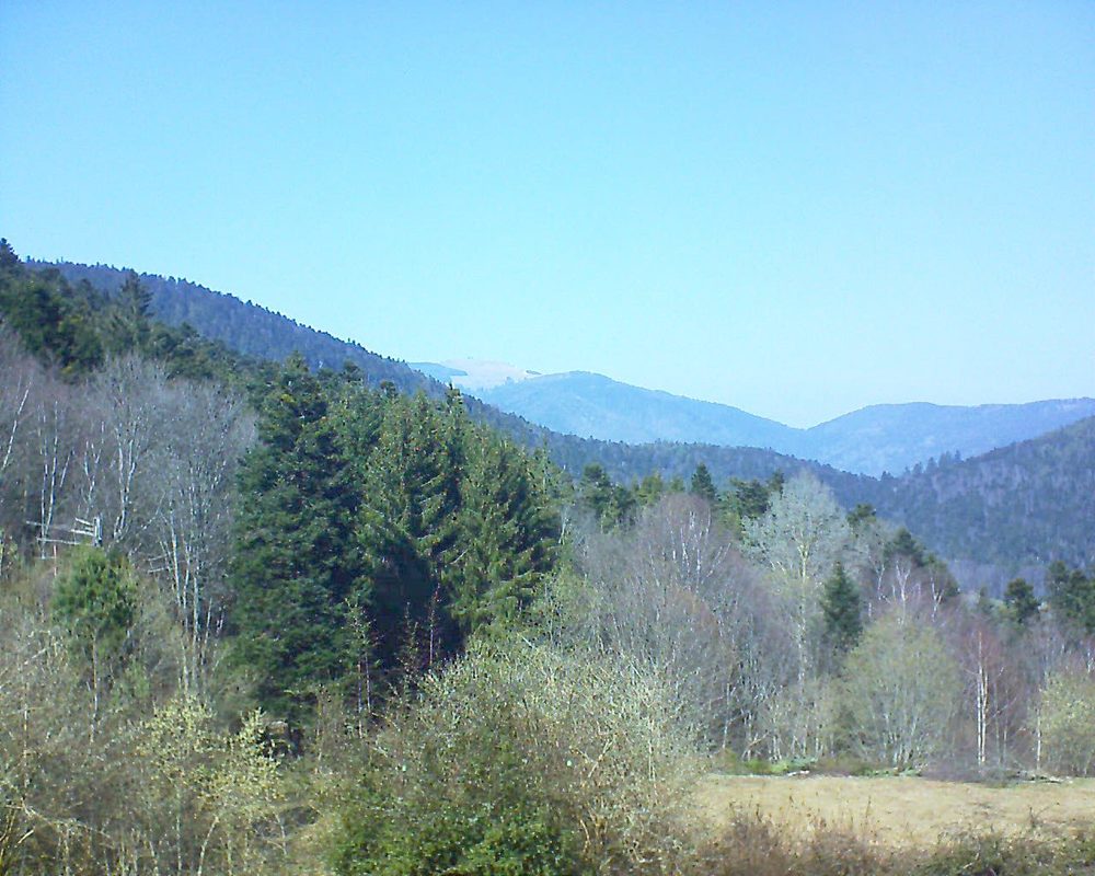 Le petit ballon vu depuis le Domaine Langmatt à Murbach le 23.03.2019 à 13:45 Le petit ballon (Alsace, Vosges) le 23.03.2019 à 13:45