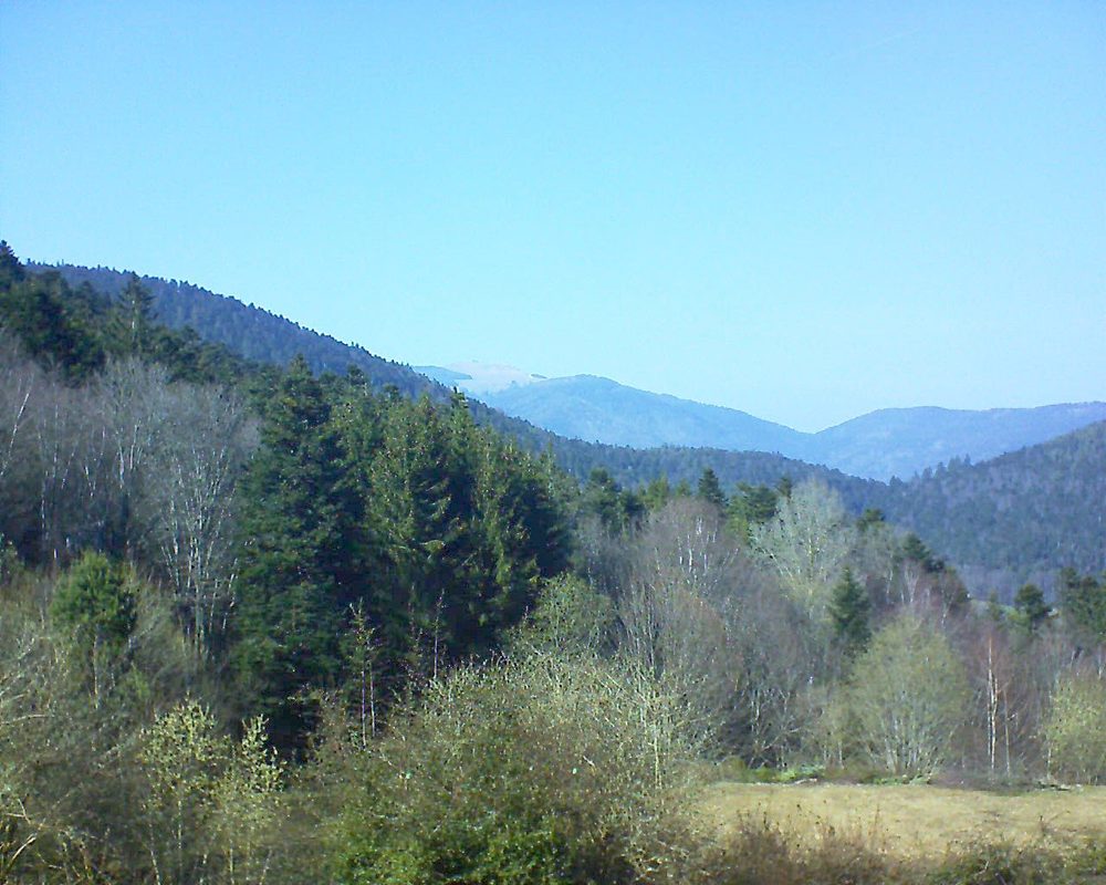 Le petit ballon vu depuis le Domaine Langmatt à Murbach le 23.03.2019 à 15:00 Le petit ballon (Alsace, Vosges) le 23.03.2019 à 15:00