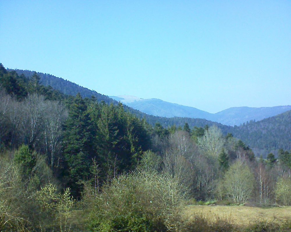Le petit ballon vu depuis le Domaine Langmatt à Murbach le 23.03.2019 à 15:30 Le petit ballon (Alsace, Vosges) le 23.03.2019 à 15:30