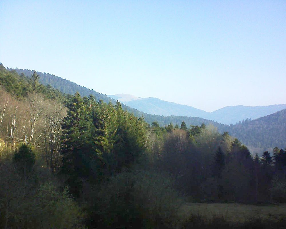 Le petit ballon vu depuis le Domaine Langmatt à Murbach le 24.03.2019 à 09:00 Le petit ballon (Alsace, Vosges) le 24.03.2019 à 09:00