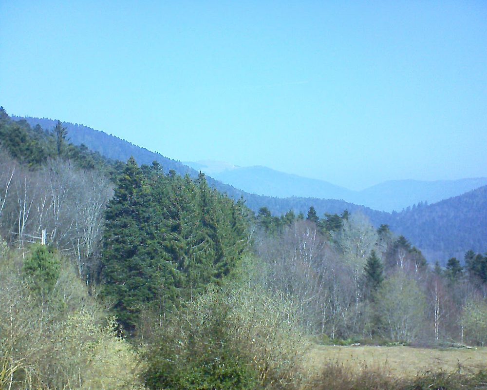 Le petit ballon vu depuis le Domaine Langmatt à Murbach le 24.03.2019 à 11:00 Le petit ballon (Alsace, Vosges) le 24.03.2019 à 11:00