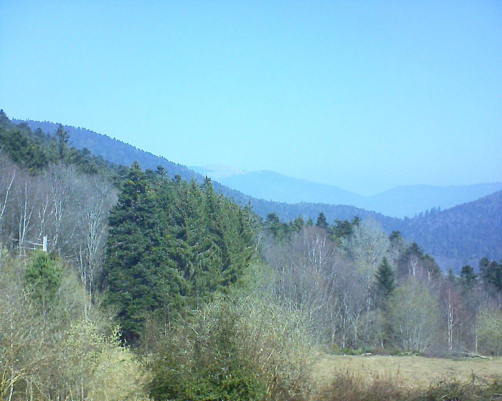 Le petit ballon vu depuis le Domaine Langmatt à Murbach le 24.03.2019 à 11:15 Le petit ballon (Alsace, Vosges) le 24.03.2019 à 11:15
