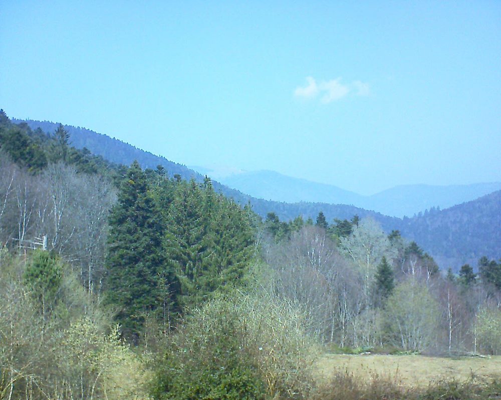 Le petit ballon vu depuis le Domaine Langmatt à Murbach le 24.03.2019 à 12:45 Le petit ballon (Alsace, Vosges) le 24.03.2019 à 12:45