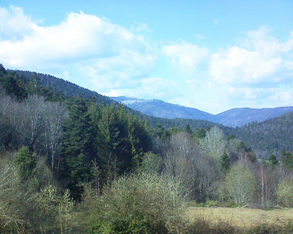 Le petit ballon vu depuis le Domaine Langmatt à Murbach le 25.03.2019 à 15:30 Le petit ballon (Alsace, Vosges) le 25.03.2019 à 15:30