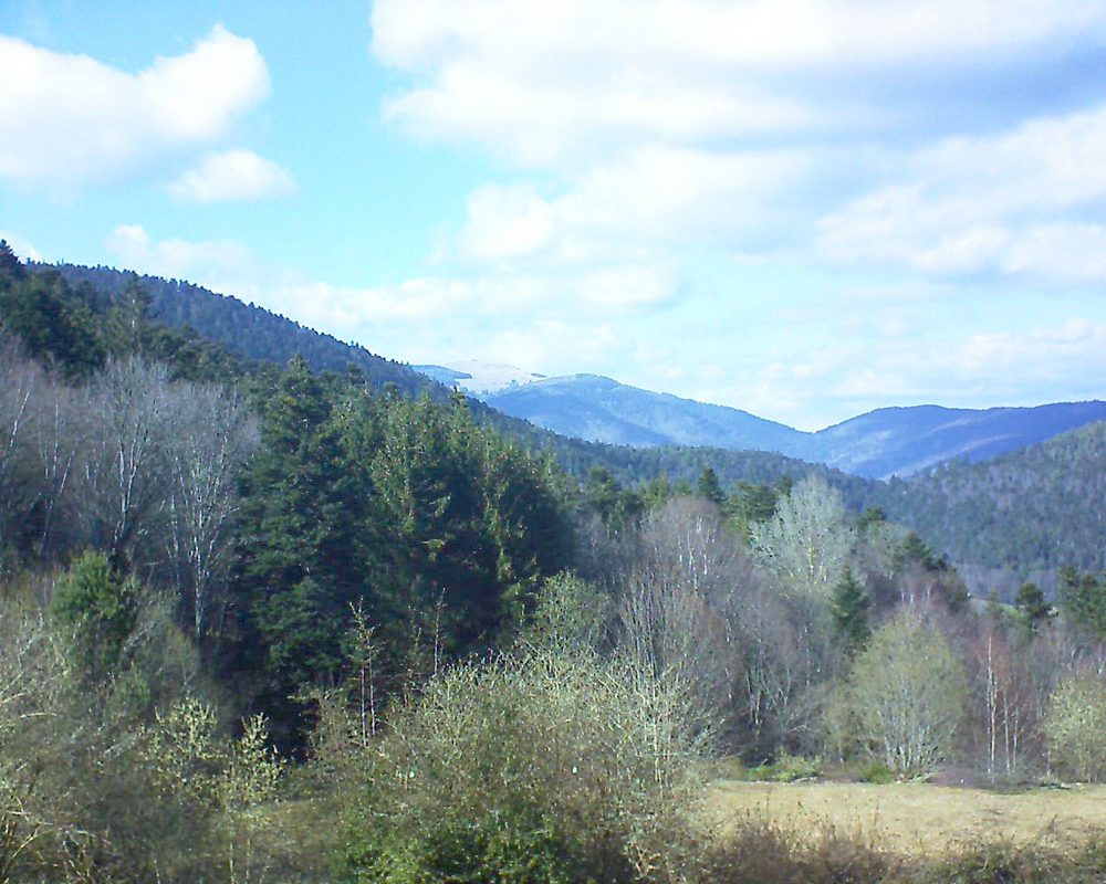 Le petit ballon vu depuis le Domaine Langmatt à Murbach le 26.03.2019 à 15:30 Le petit ballon (Alsace, Vosges) le 26.03.2019 à 15:30