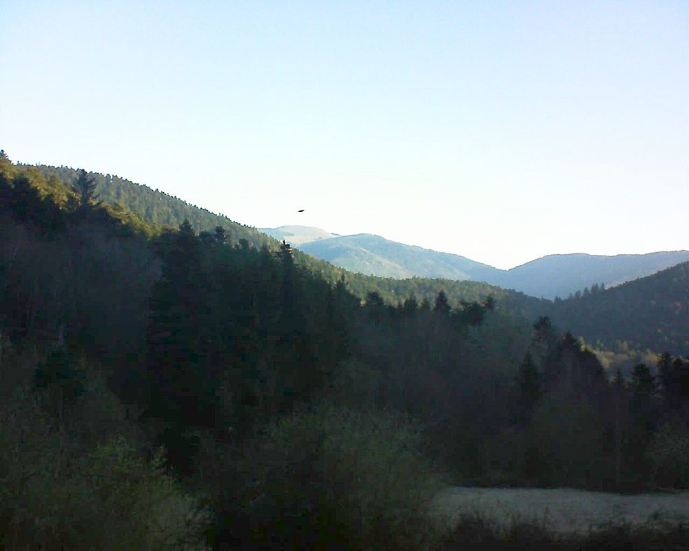 Le petit ballon vu depuis le Domaine Langmatt à Murbach le 28.03.2019 à 07:15 Le petit ballon (Alsace, Vosges) le 28.03.2019 à 07:15