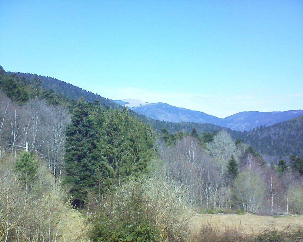 Le petit ballon vu depuis le Domaine Langmatt à Murbach le 28.03.2019 à 12:00 Le petit ballon (Alsace, Vosges) le 28.03.2019 à 12:00