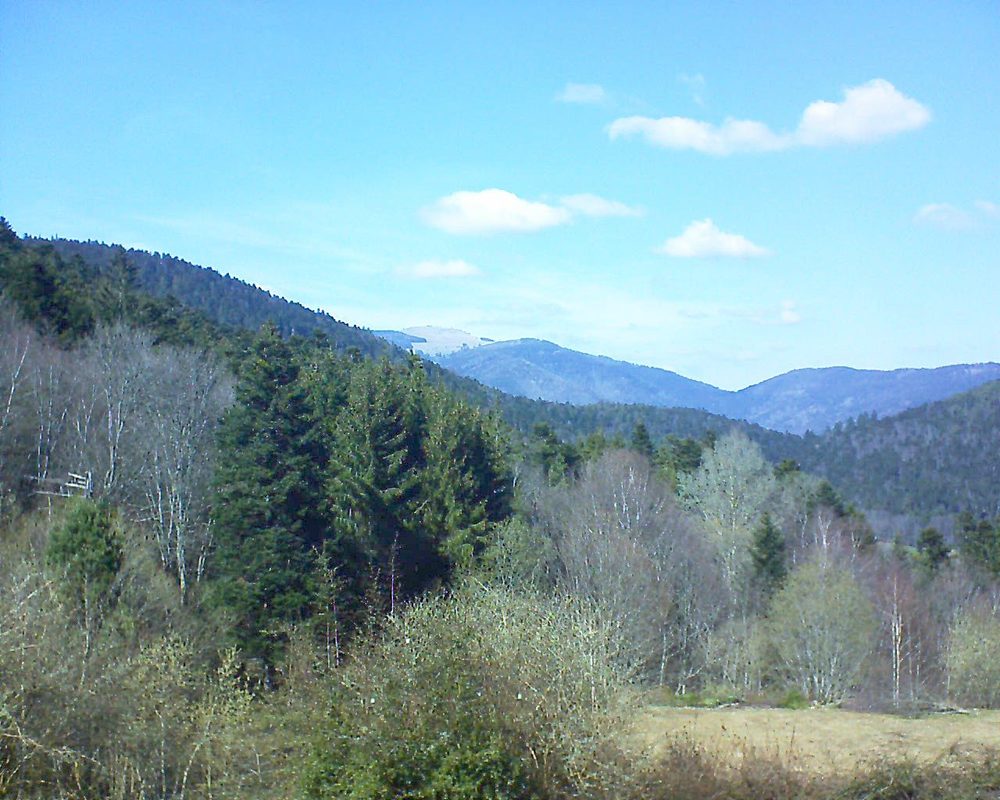 Le petit ballon vu depuis le Domaine Langmatt à Murbach le 28.03.2019 à 14:15 Le petit ballon (Alsace, Vosges) le 28.03.2019 à 14:15