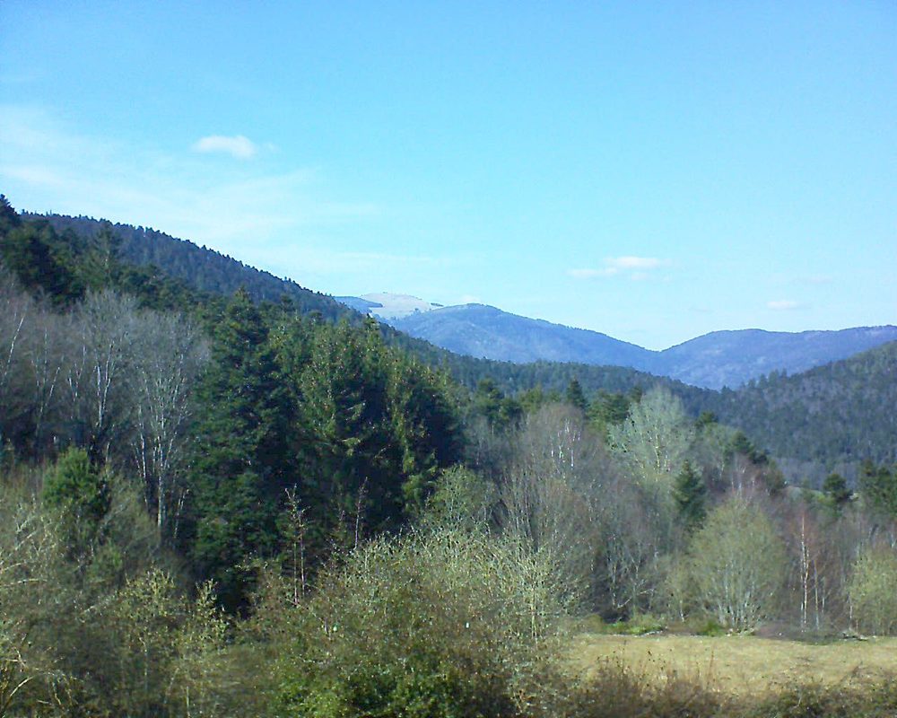 Le petit ballon vu depuis le Domaine Langmatt à Murbach le 28.03.2019 à 15:15 Le petit ballon (Alsace, Vosges) le 28.03.2019 à 15:15