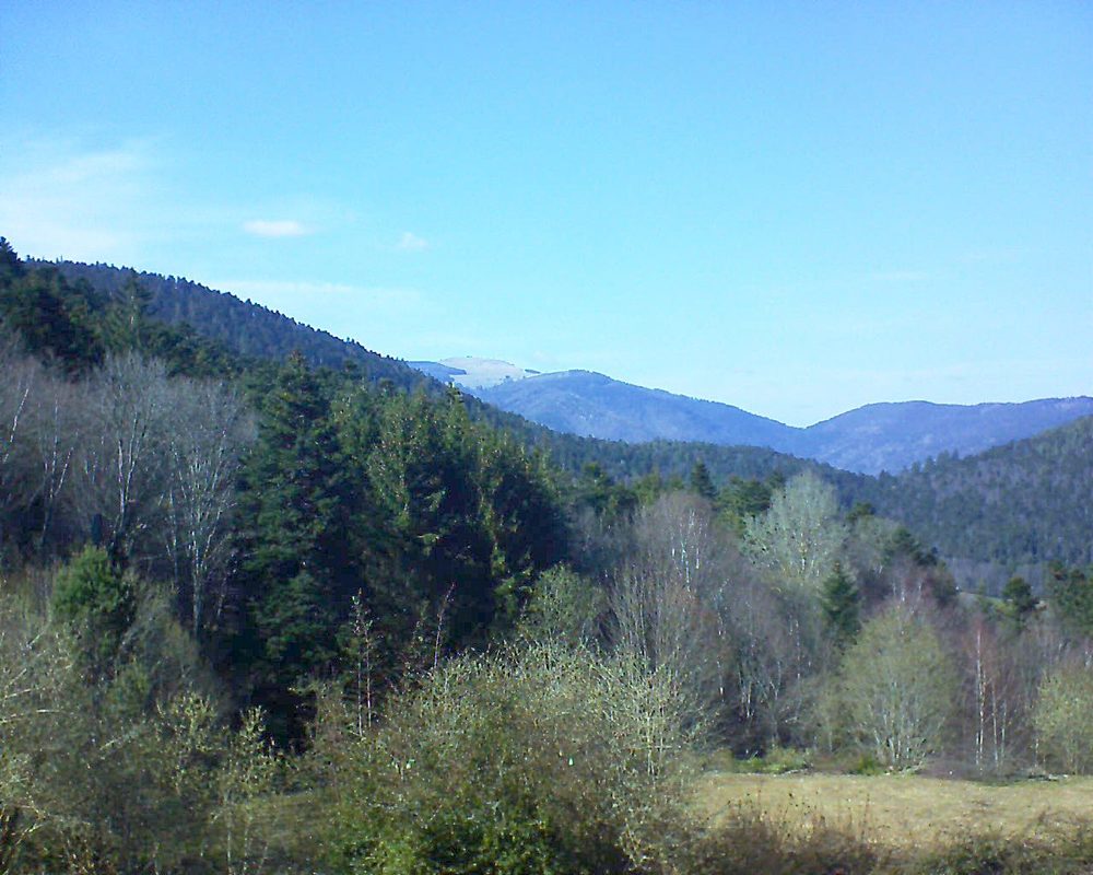 Le petit ballon vu depuis le Domaine Langmatt à Murbach le 28.03.2019 à 15:30 Le petit ballon (Alsace, Vosges) le 28.03.2019 à 15:30