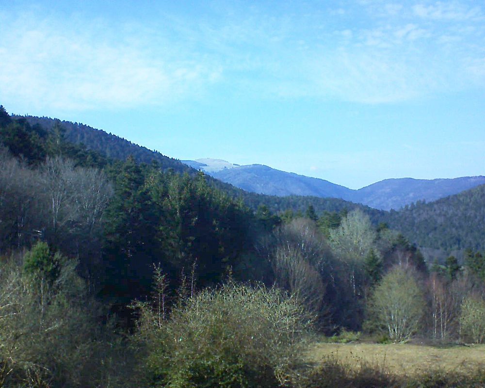 Le petit ballon vu depuis le Domaine Langmatt à Murbach le 28.03.2019 à 16:15 Le petit ballon (Alsace, Vosges) le 28.03.2019 à 16:15