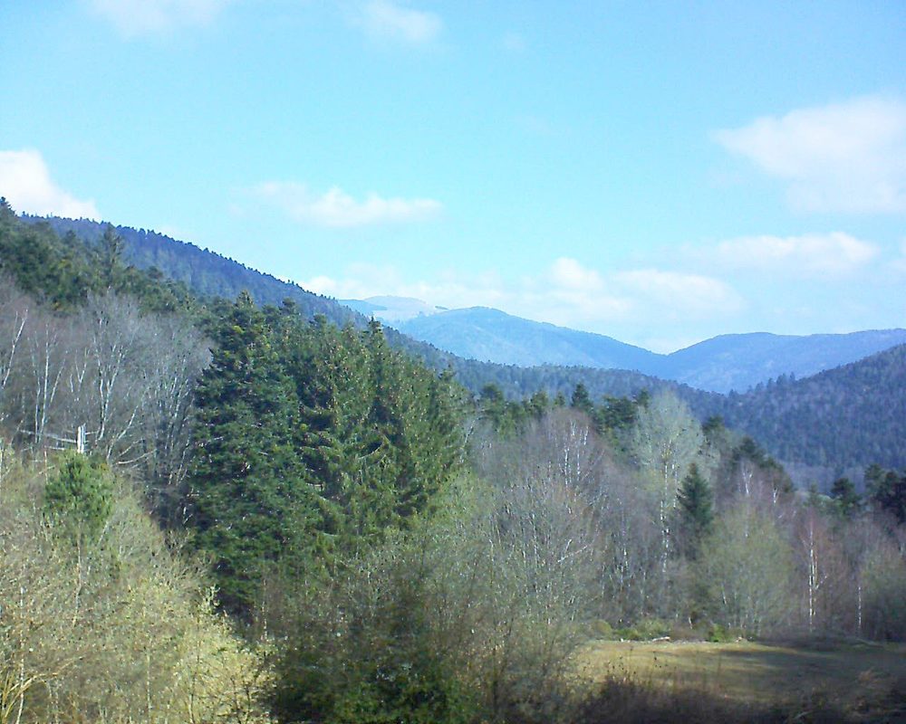Le petit ballon vu depuis le Domaine Langmatt à Murbach le 29.03.2019 à 09:45 Le petit ballon (Alsace, Vosges) le 29.03.2019 à 09:45