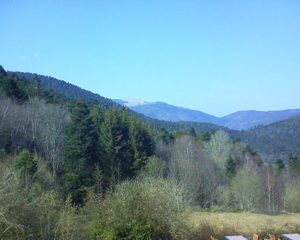 Le petit ballon vu depuis le Domaine Langmatt à Murbach le 29.03.2019 à 15:00 Le petit ballon (Alsace, Vosges) le 29.03.2019 à 15:00