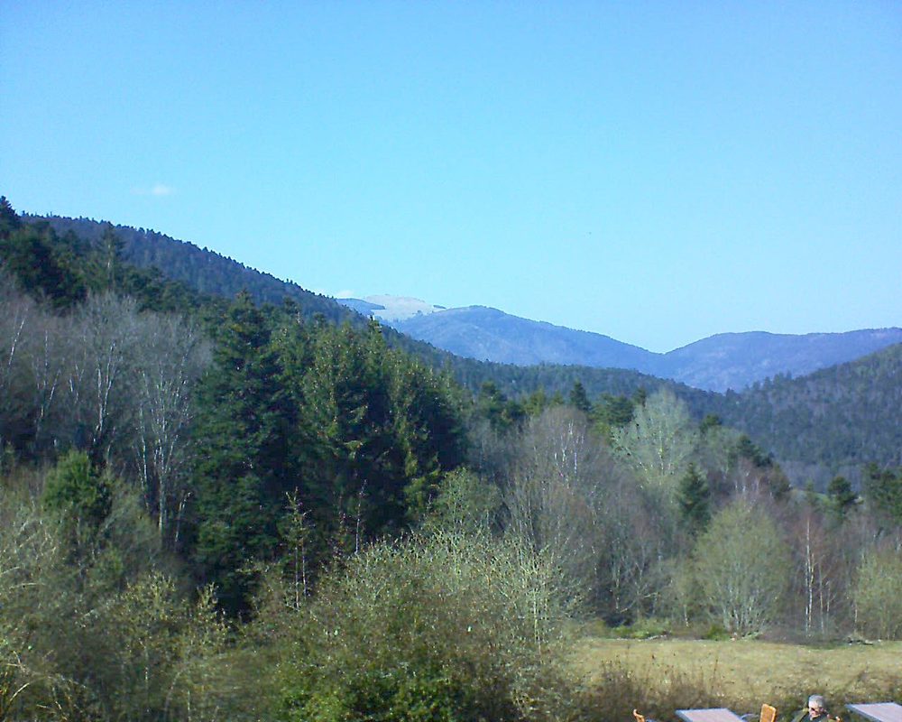 Le petit ballon vu depuis le Domaine Langmatt à Murbach le 29.03.2019 à 15:15 Le petit ballon (Alsace, Vosges) le 29.03.2019 à 15:15