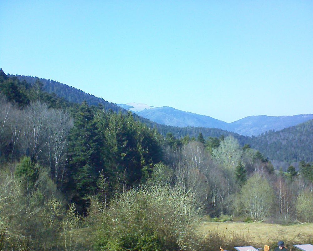 Le petit ballon vu depuis le Domaine Langmatt à Murbach le 29.03.2019 à 15:30 Le petit ballon (Alsace, Vosges) le 29.03.2019 à 15:30