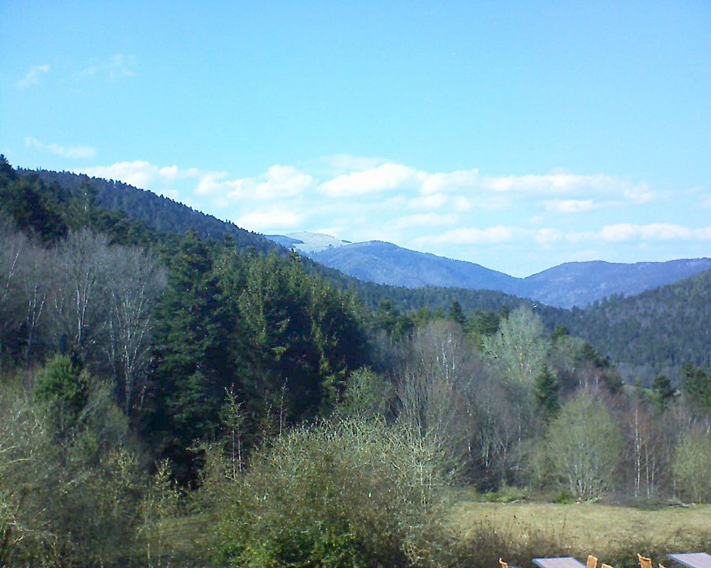 Le petit ballon vu depuis le Domaine Langmatt à Murbach le 30.03.2019 à 15:30 Le petit ballon (Alsace, Vosges) le 30.03.2019 à 15:30