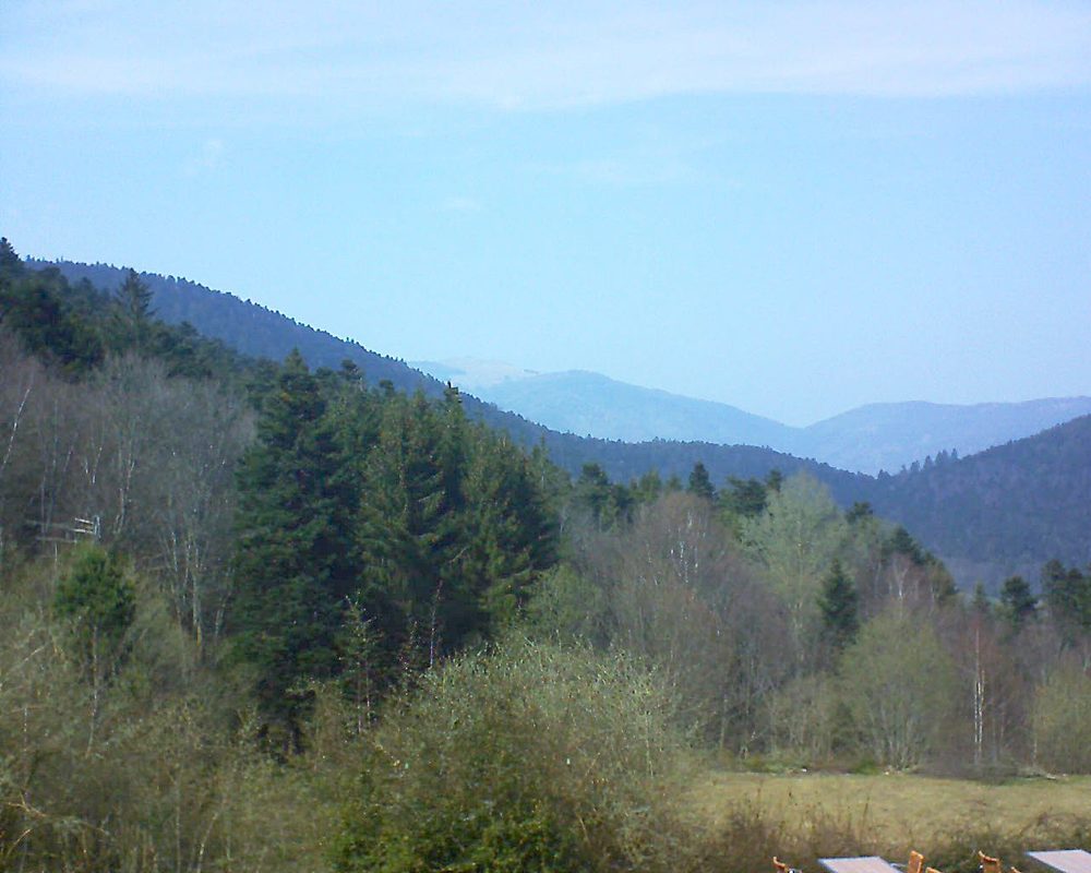 Le petit ballon vu depuis le Domaine Langmatt à Murbach le 01.04.2019 à 15:15 Le petit ballon (Alsace, Vosges) le 01.04.2019 à 15:15