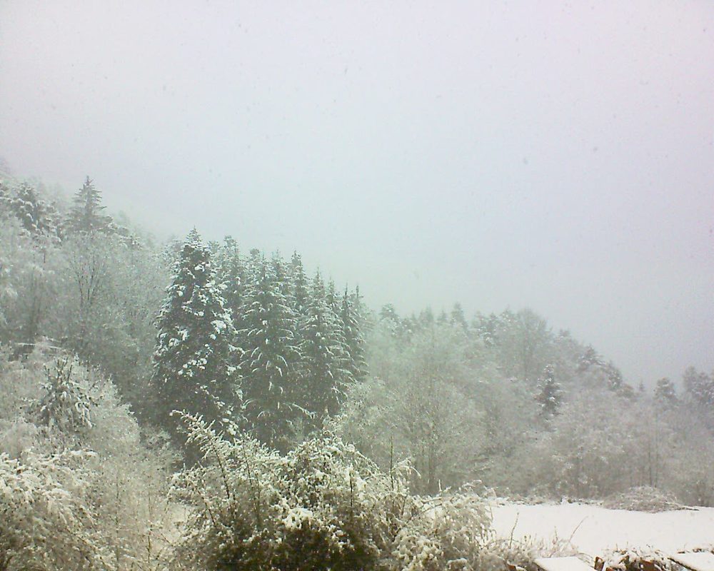 Le petit ballon vu depuis le Domaine Langmatt à Murbach le 04.04.2019 à 11:15 Le petit ballon (Alsace, Vosges) le 04.04.2019 à 11:15