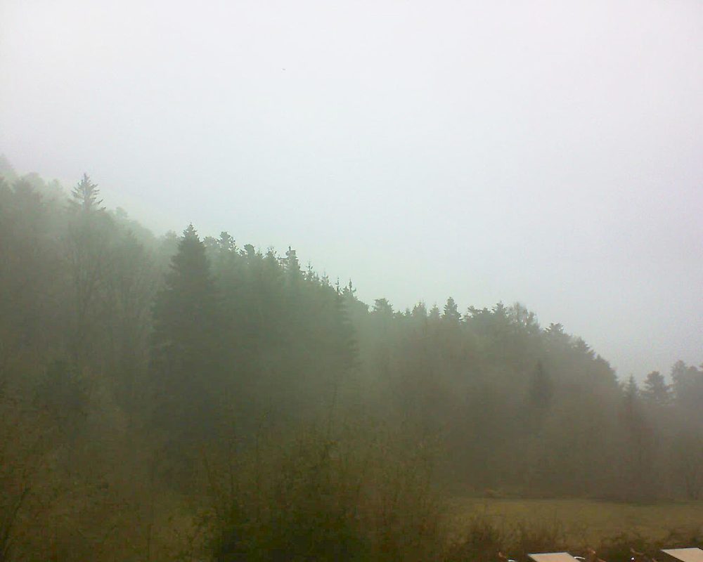 Le petit ballon vu depuis le Domaine Langmatt à Murbach le 09.04.2019 à 12:45 Le petit ballon (Alsace, Vosges) le 09.04.2019 à 12:45