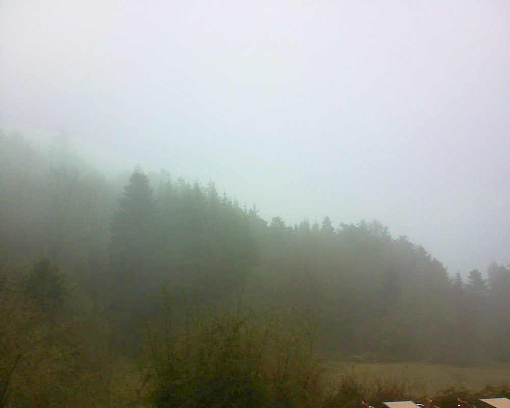 Le petit ballon vu depuis le Domaine Langmatt à Murbach le 10.04.2019 à 15:15 Le petit ballon (Alsace, Vosges) le 10.04.2019 à 15:15