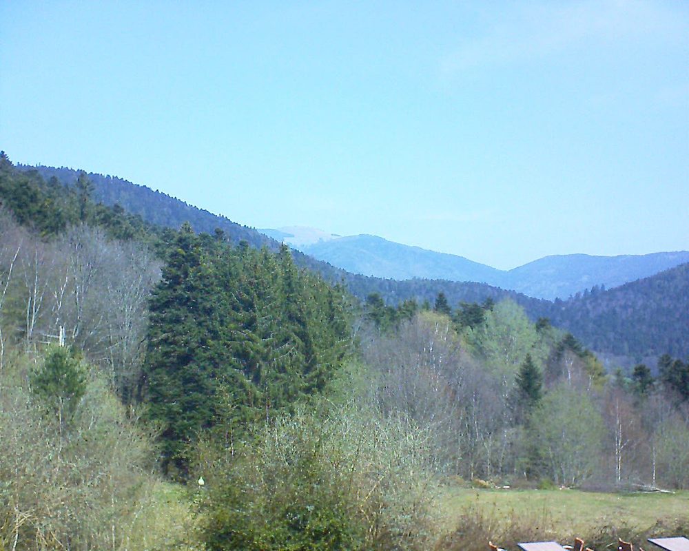 Le petit ballon vu depuis le Domaine Langmatt à Murbach le 11.04.2019 à 12:00 Le petit ballon (Alsace, Vosges) le 11.04.2019 à 12:00
