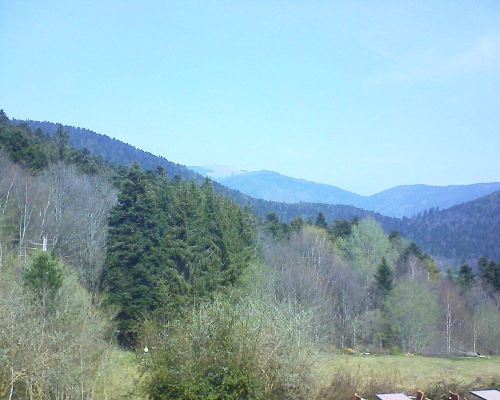 Le petit ballon vu depuis le Domaine Langmatt à Murbach le 11.04.2019 à 12:15 Le petit ballon (Alsace, Vosges) le 11.04.2019 à 12:15