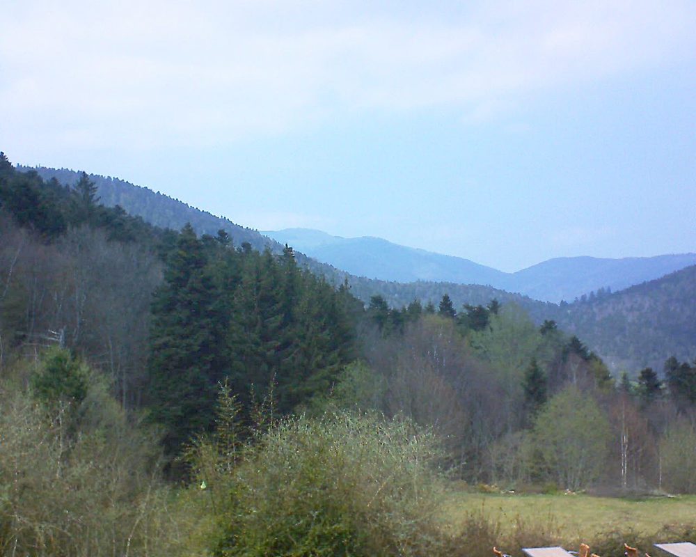 Le petit ballon vu depuis le Domaine Langmatt à Murbach le 12.04.2019 à 14:45 Le petit ballon (Alsace, Vosges) le 12.04.2019 à 14:45