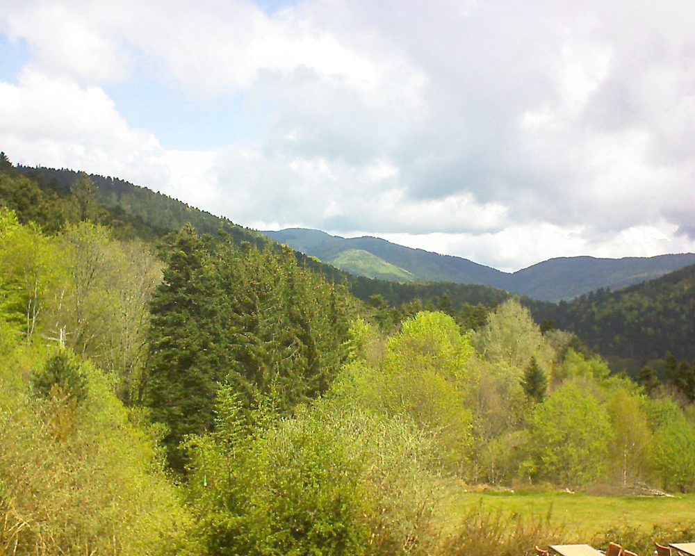 Le petit ballon vu depuis le Domaine Langmatt à Murbach le 29.04.2019 à 11:45 Le petit ballon (Alsace, Vosges) le 29.04.2019 à 11:45