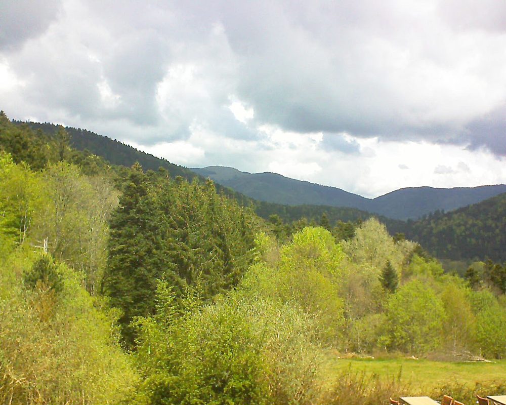 Le petit ballon vu depuis le Domaine Langmatt à Murbach le 29.04.2019 à 12:15 Le petit ballon (Alsace, Vosges) le 29.04.2019 à 12:15
